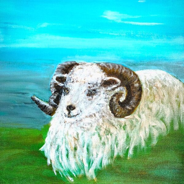 Schaf aus Lindenthal